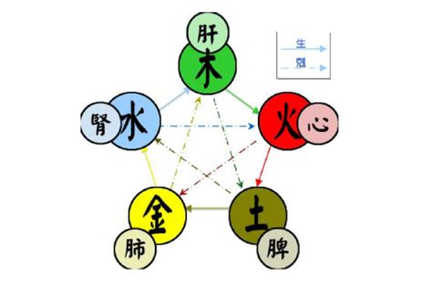 木和金|五行（对万事万物的取象比类）